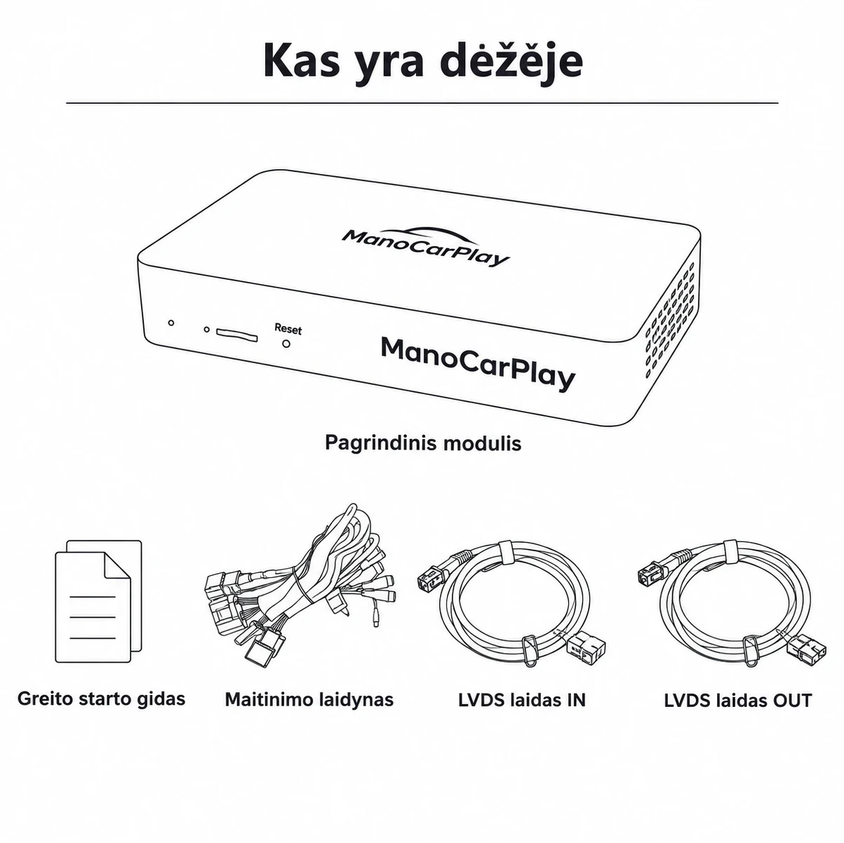 Kas yra dėžėje — modulis, laidai ir instrukcija